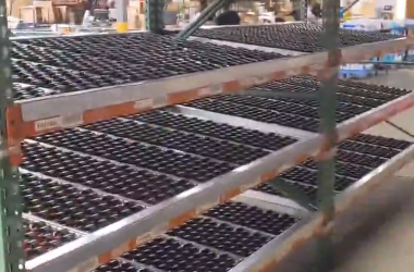 Pallet Flow Rack Systems